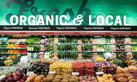 Understanding the Organic Market